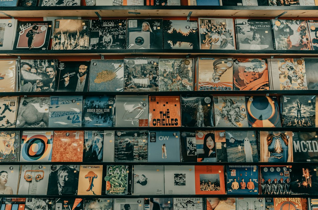 Wall of vinyl album sleeves in a record shop, illustrating FLAC to MP3 conversion with album art and tags preserved
