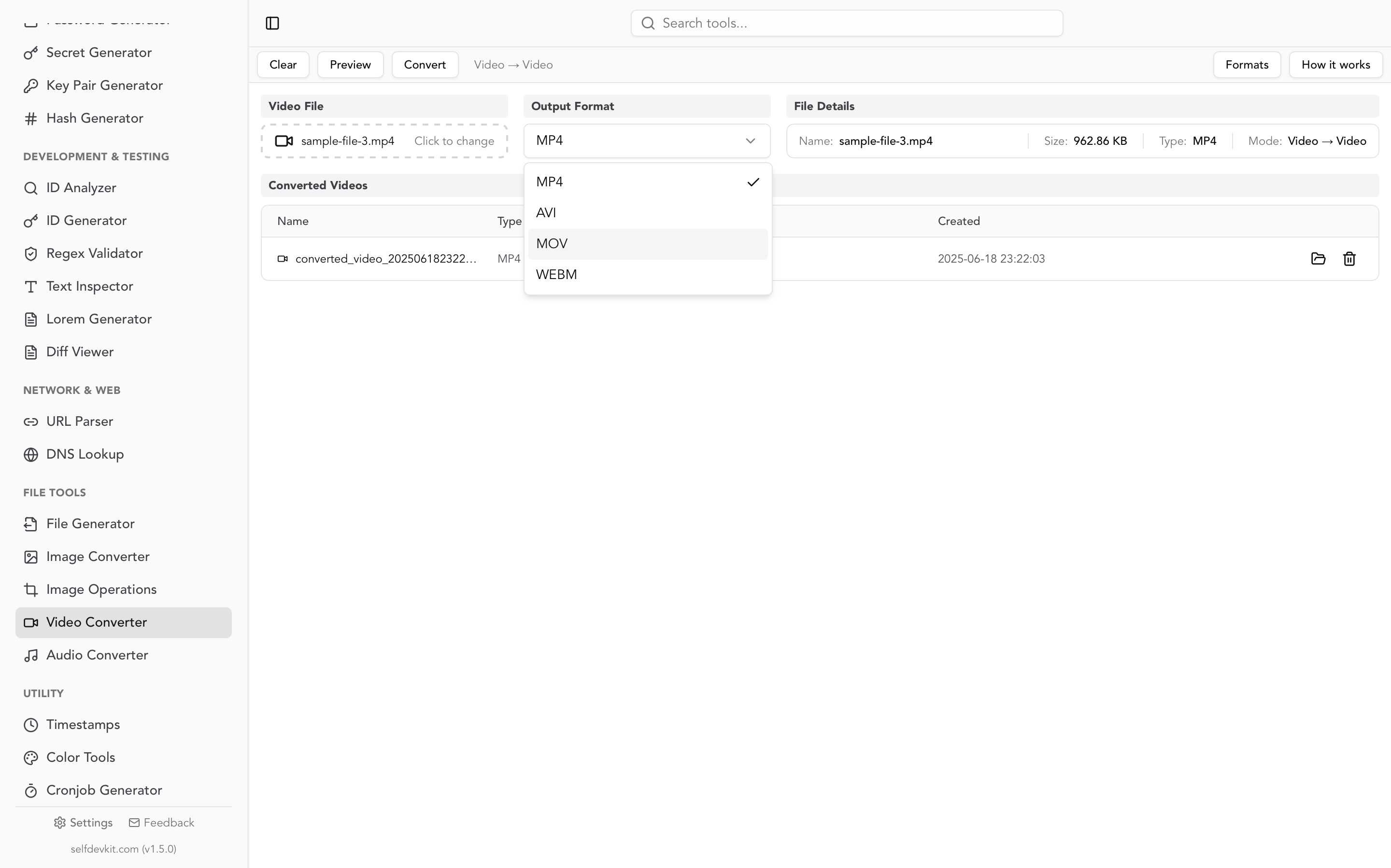 Video Converter Preview